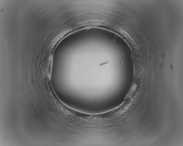 X0000067341081200604131720