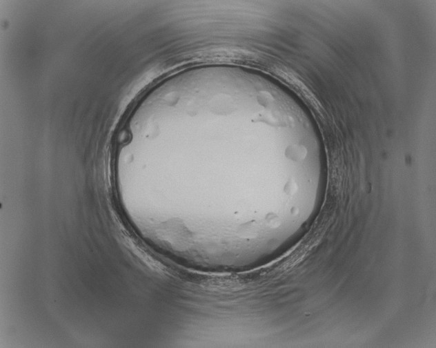 X0000067341083200604131720