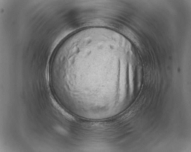 X0000067341084200604131720