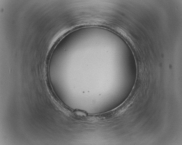 X0000067341085200604131720