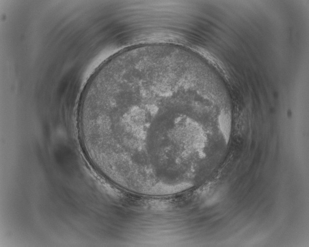 X0000067341086200604131720