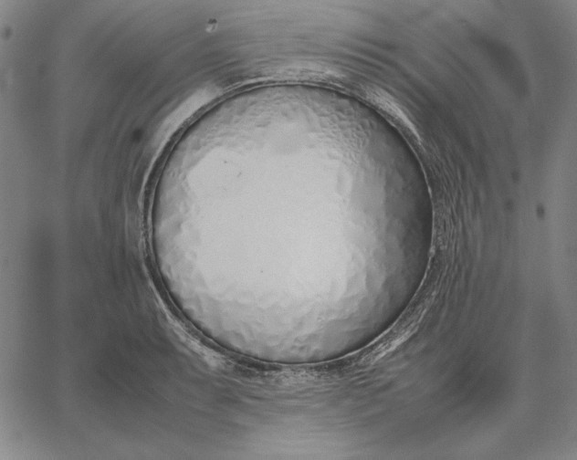 X0000067341087200604131720