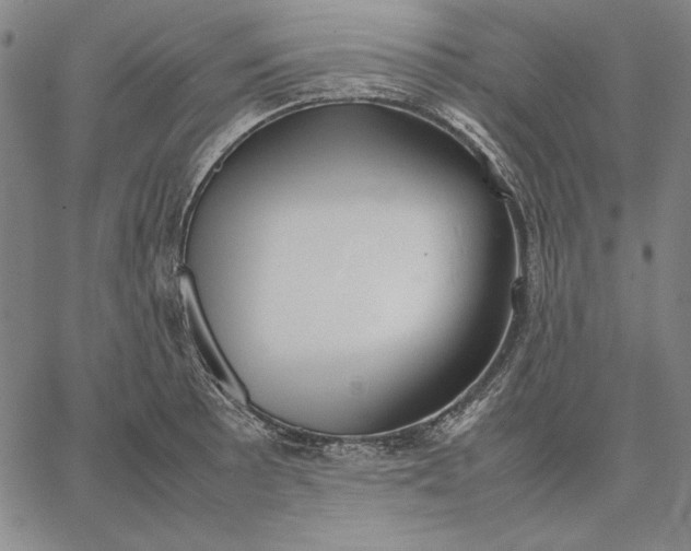 X0000067341089200604131719