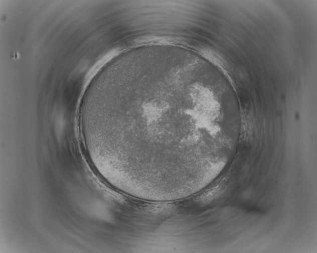 X0000067341090200604131719