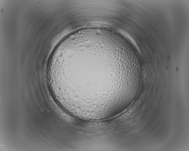 X0000067341091200604131719