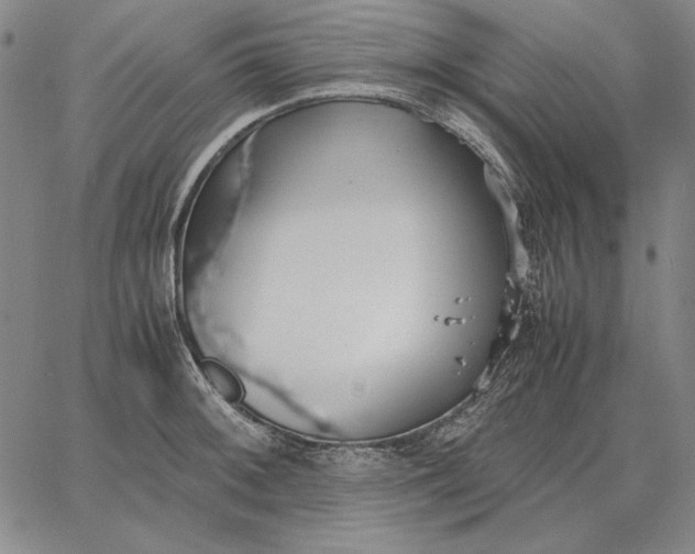 X0000067341092200604131719