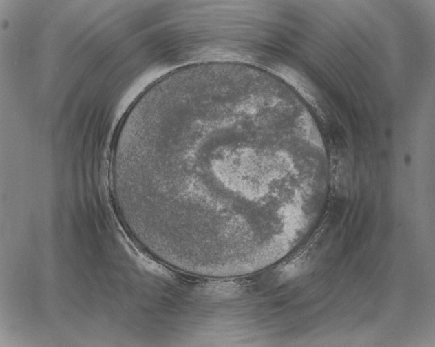 X0000067341094200604131719