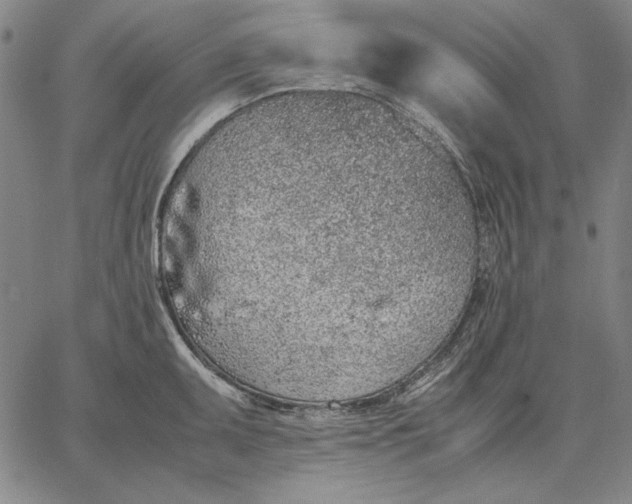 X0000067341095200604131719