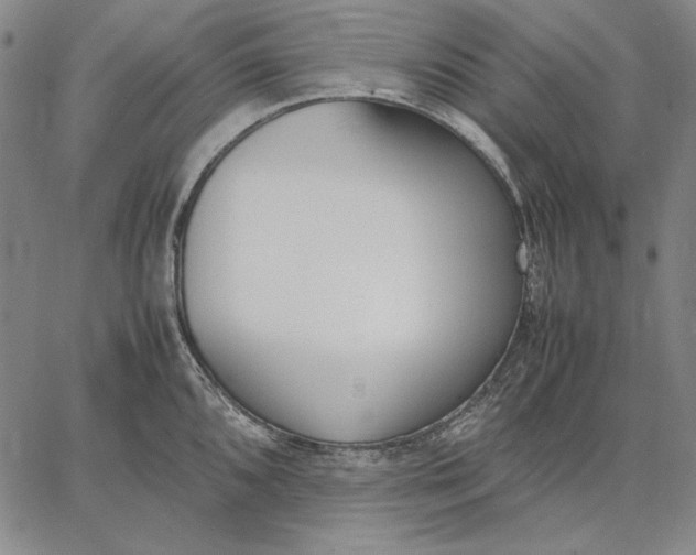 X0000067341096200604131719