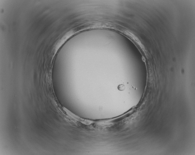 X0000067341097200604131719