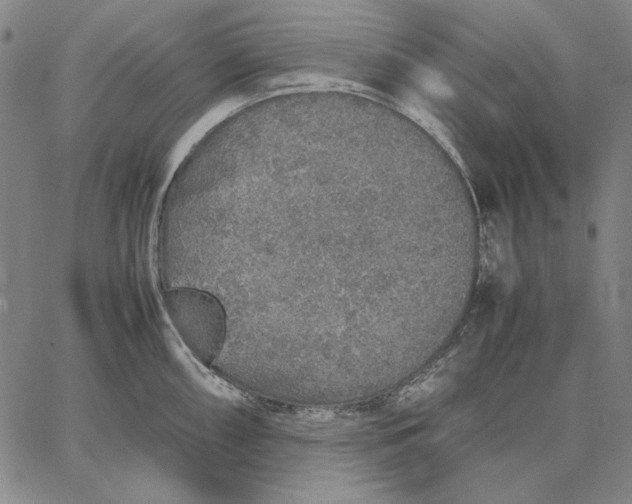 X0000067341098200604131719