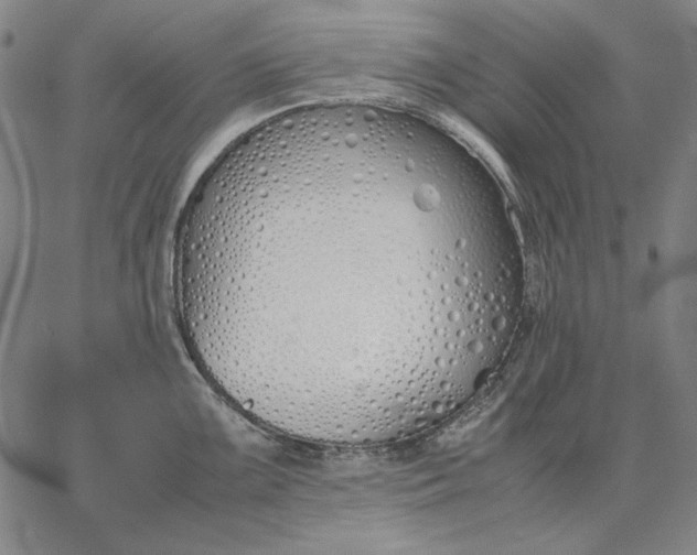 X0000067341099200604131719