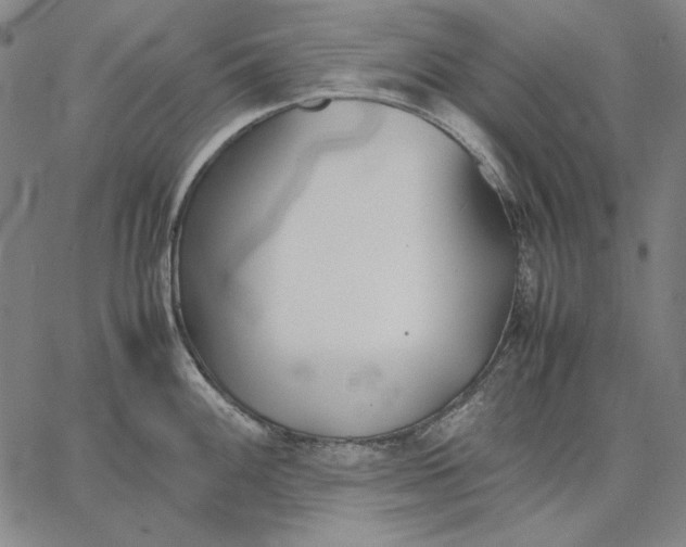 X0000067341100200604131719