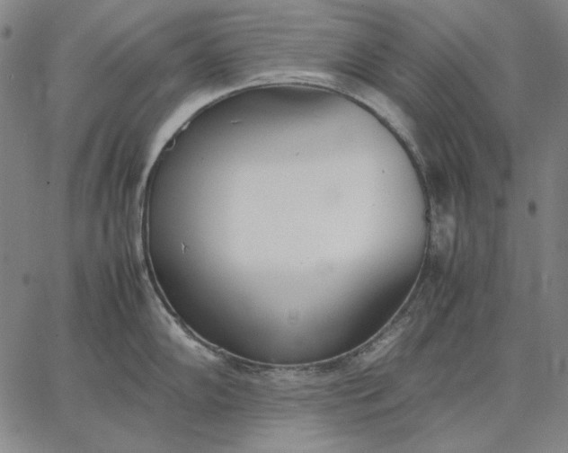 X0000067341102200604131719