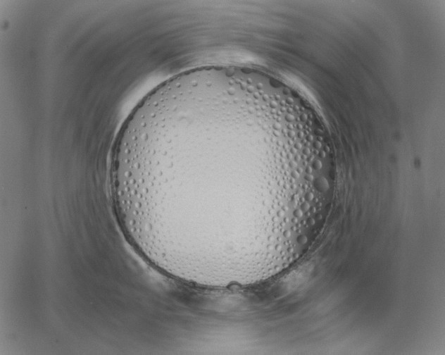 X0000067341103200604131719