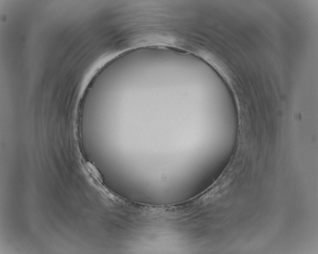 X0000067341104200604131719