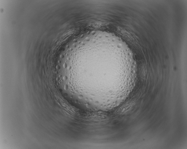 X0000067341105200604131718