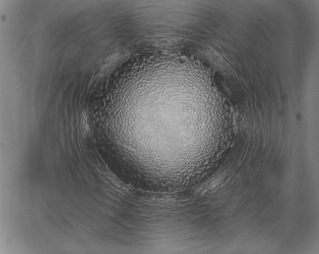 X0000067341106200604131718