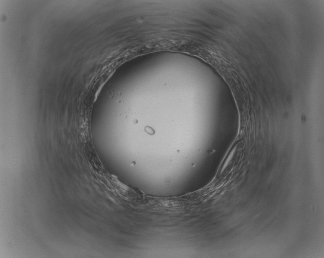 X0000067341109200604131719