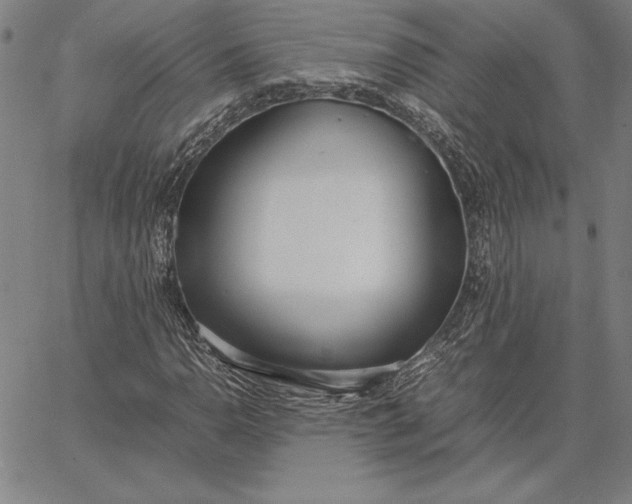 X0000067341110200604131719