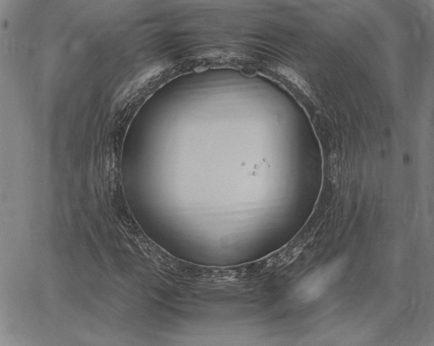 X0000067341111200604131719