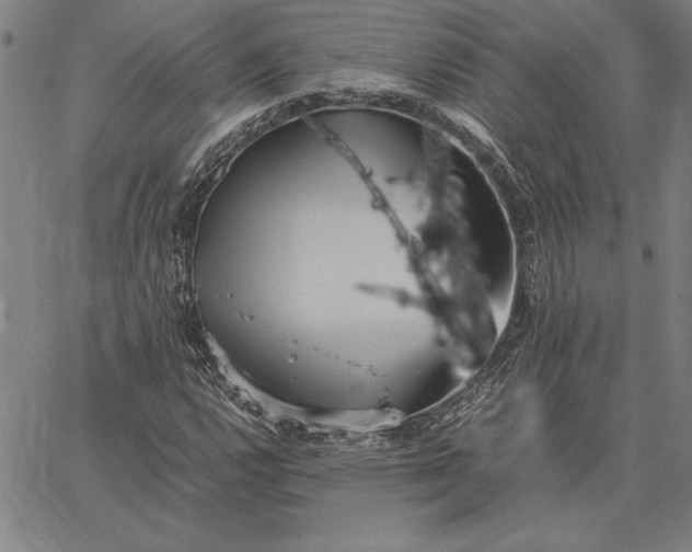 X0000067341112200604131719