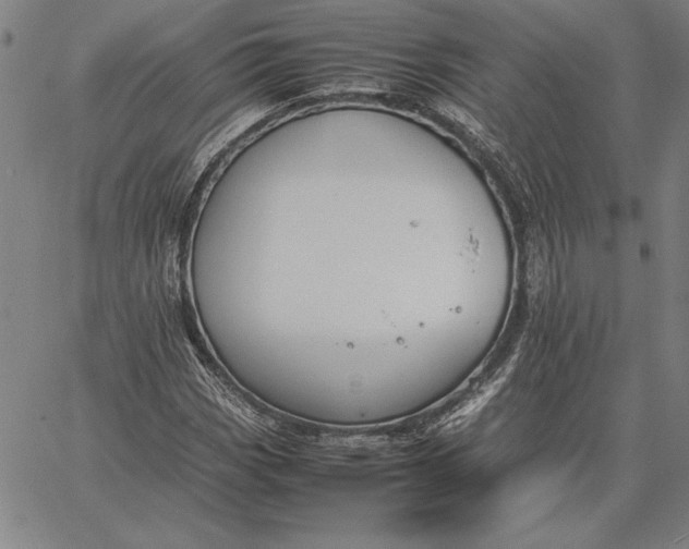 X0000067341113200604131719