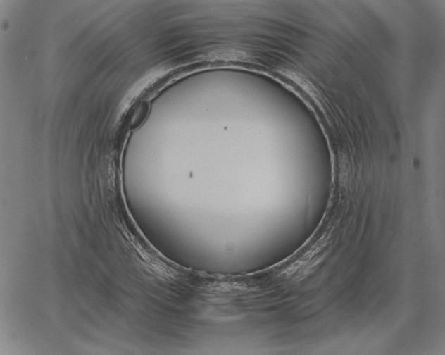 X0000067341115200604131719