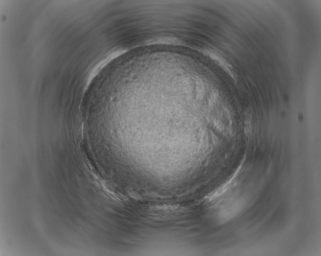 X0000067341117200604131719