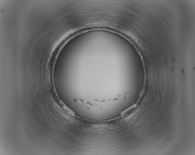 X0000067341118200604131719