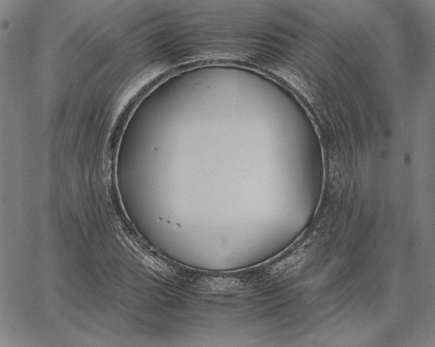 X0000067341119200604131719