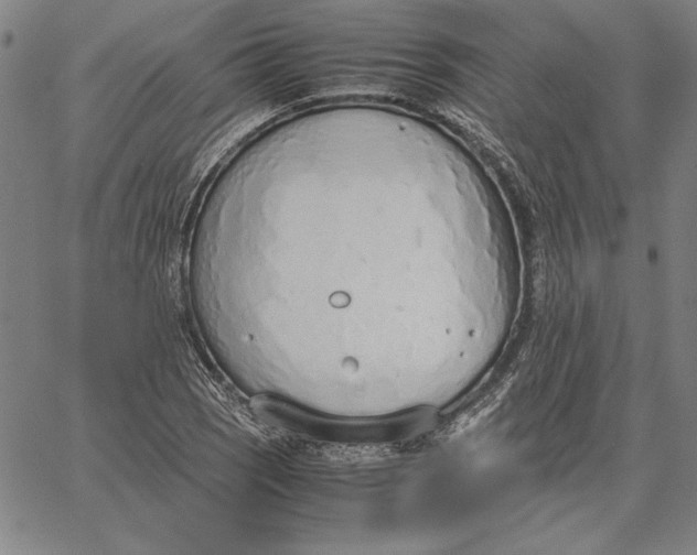 X0000067341121200604131719