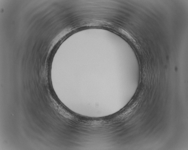 X0000067341122200604131719