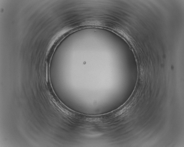 X0000067341123200604131719