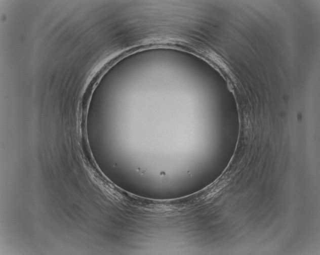 X0000067341124200604131719