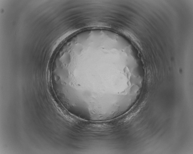 X0000067341125200604131719