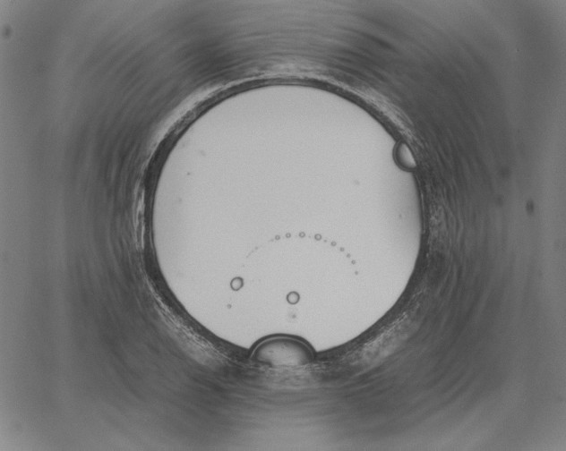 X0000067341126200604131719