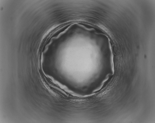 X0000067341127200604131719