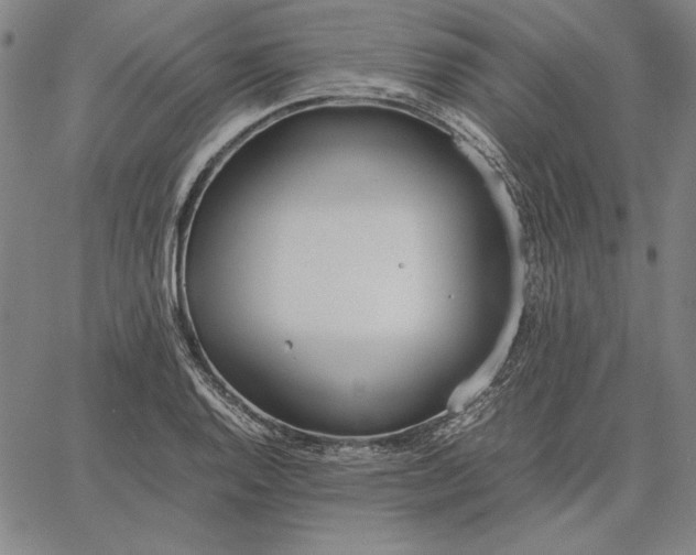 X0000067341128200604131719