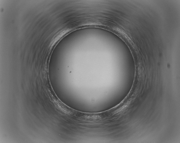 X0000067341129200604131719