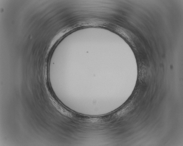 X0000067341130200604131719