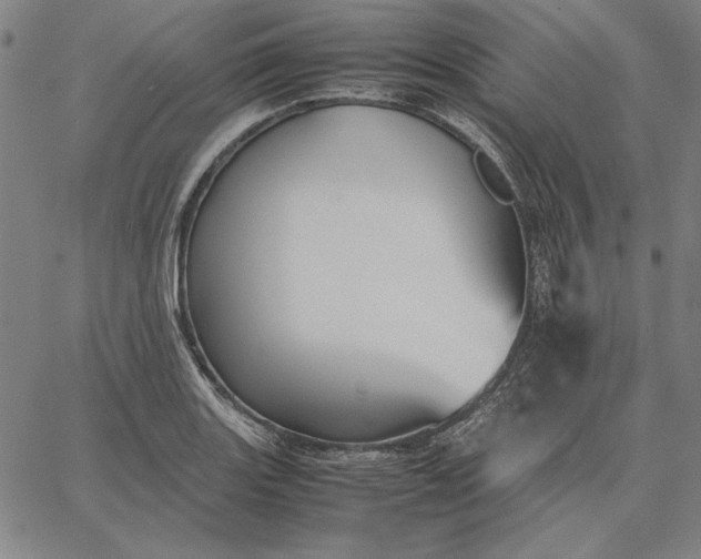 X0000067341131200604131719