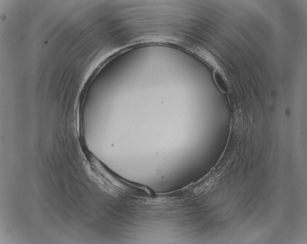 X0000067341132200604131719