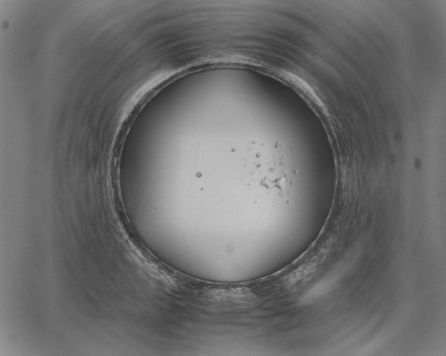 X0000067341133200604131719