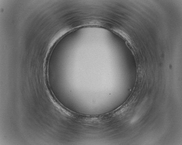 X0000067341135200604131719