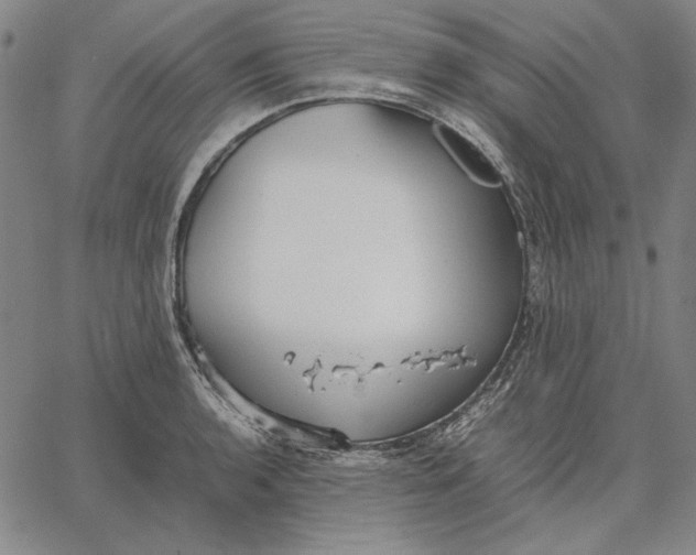 X0000067341136200604131719