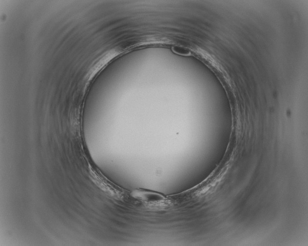 X0000067341137200604131719