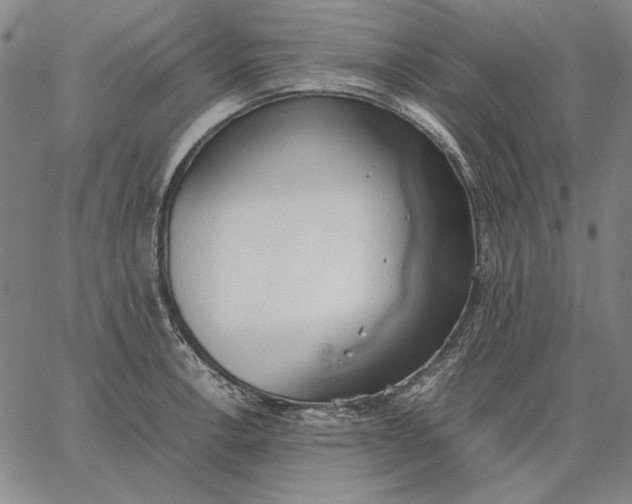 X0000067341138200604131719