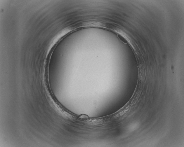 X0000067341139200604131719