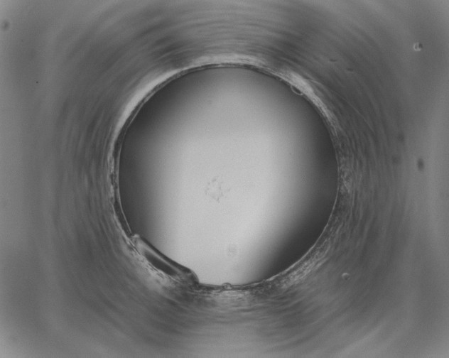 X0000067341140200604131719